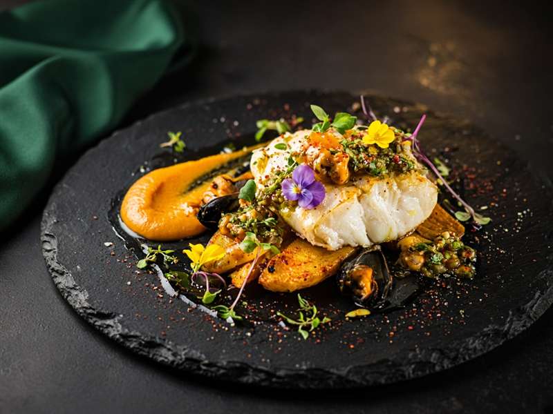 Prato gourmet do GastroGalore